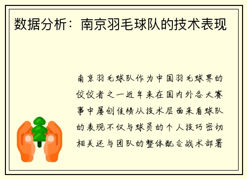 数据分析：南京羽毛球队的技术表现