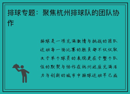 排球专题：聚焦杭州排球队的团队协作